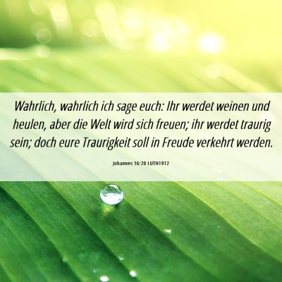 Picture 06 - Johannes 16:20 LUTH1912 - Wahrlich, wahrlich ich sage euch: Ihr werdet - Bible Verse Picture