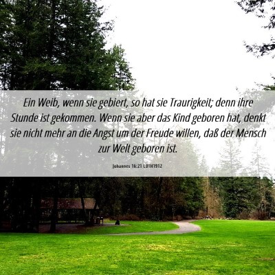Picture 06 - Johannes 16:21 LUTH1912 - Ein Weib, wenn sie gebiert, so hat sie - Bible Verse Picture