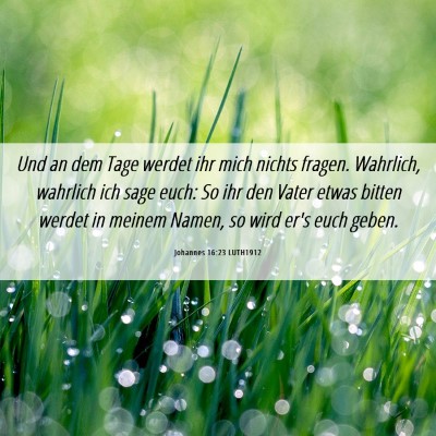 Picture 06 - Johannes 16:23 LUTH1912 - Und an dem Tage werdet ihr mich nichts fragen. - Bible Verse Picture