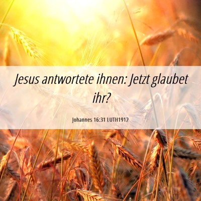 Picture 06 - Johannes 16:31 LUTH1912 - Jesus antwortete ihnen: Jetzt glaubet - Bible Verse Picture