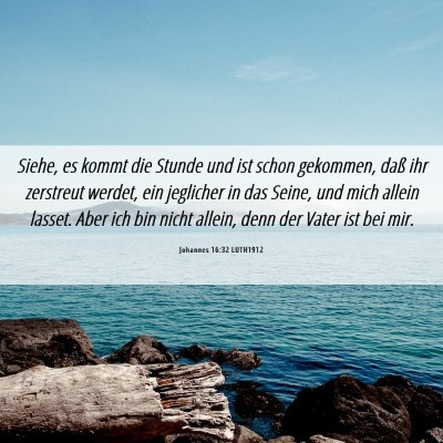 Picture 06 - Johannes 16:32 LUTH1912 - Siehe, es kommt die Stunde und ist schon - Bible Verse Picture
