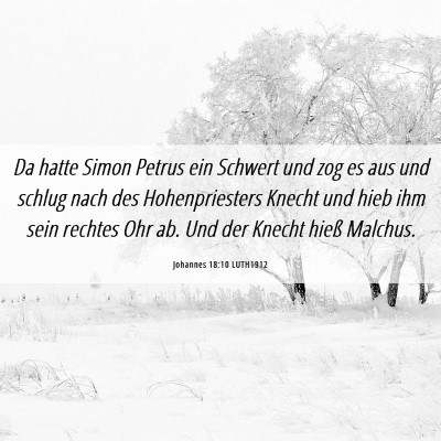 Picture 06 - Johannes 18:10 LUTH1912 - Da hatte Simon Petrus ein Schwert und zog es aus - Bible Verse Picture