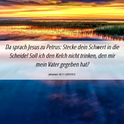 Picture 06 - Johannes 18:11 LUTH1912 - Da sprach Jesus zu Petrus: Stecke dein Schwert in - Bible Verse Picture