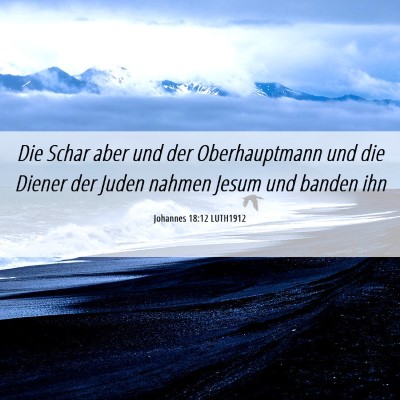 Picture 06 - Johannes 18:12 LUTH1912 - Die Schar aber und der Oberhauptmann und die - Bible Verse Picture