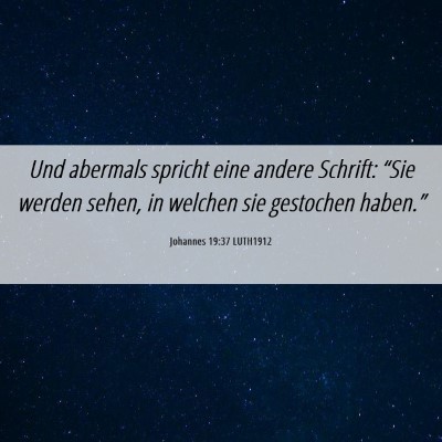 Picture 06 - Johannes 19:37 LUTH1912 - Und abermals spricht eine andere Schrift: “Sie - Bible Verse Picture