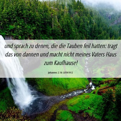 Picture 06 - Johannes 2:16 LUTH1912 - und sprach zu denen, die die Tauben feil hatten: - Bible Verse Picture
