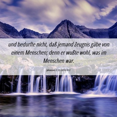 Picture 06 - Johannes 2:25 LUTH1912 - und bedurfte nicht, daß jemand Zeugnis gäbe von - Bible Verse Picture