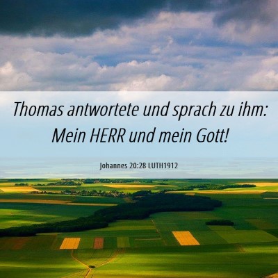 Picture 06 - Johannes 20:28 LUTH1912 - Thomas antwortete und sprach zu ihm: Mein HERR - Bible Verse Picture