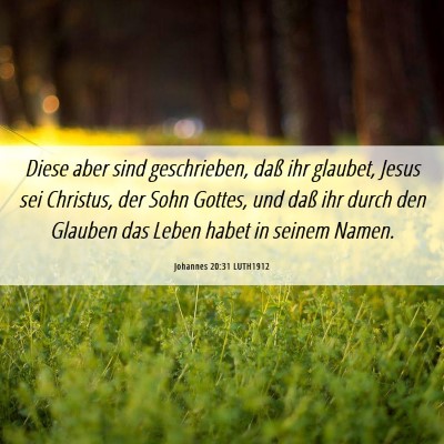 Picture 06 - Johannes 20:31 LUTH1912 - Diese aber sind geschrieben, daß ihr glaubet, - Bible Verse Picture