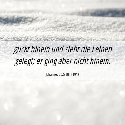 Picture 06 - Johannes 20:5 LUTH1912 - guckt hinein und sieht die Leinen gelegt; er ging - Bible Verse Picture