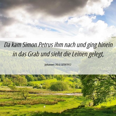 Picture 06 - Johannes 20:6 LUTH1912 - Da kam Simon Petrus ihm nach und ging hinein in - Bible Verse Picture