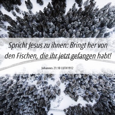 Picture 06 - Johannes 21:10 LUTH1912 - Spricht Jesus zu ihnen: Bringt her von den - Bible Verse Picture