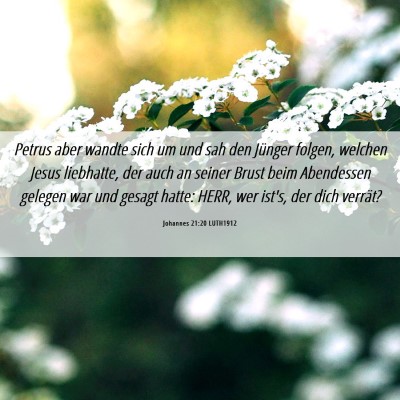 Picture 06 - Johannes 21:20 LUTH1912 - Petrus aber wandte sich um und sah den Jünger - Bible Verse Picture