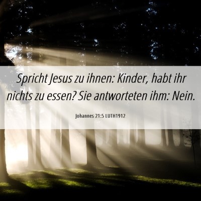 Picture 06 - Johannes 21:5 LUTH1912 - Spricht Jesus zu ihnen: Kinder, habt ihr nichts - Bible Verse Picture