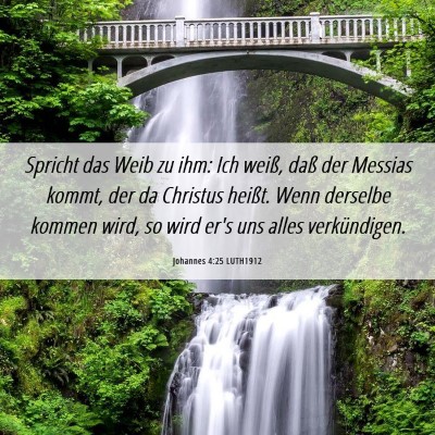 Picture 06 - Johannes 4:25 LUTH1912 - Spricht das Weib zu ihm: Ich weiß, daß der - Bible Verse Picture