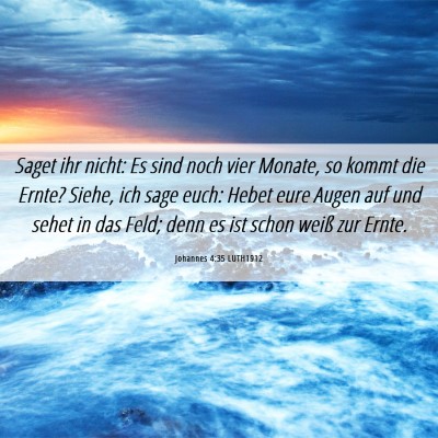 Picture 06 - Johannes 4:35 LUTH1912 - Saget ihr nicht: Es sind noch vier Monate, so - Bible Verse Picture