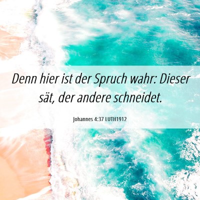 Picture 06 - Johannes 4:37 LUTH1912 - Denn hier ist der Spruch wahr: Dieser sät, der - Bible Verse Picture