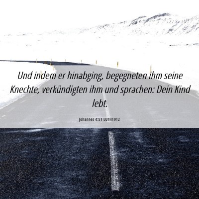 Picture 06 - Johannes 4:51 LUTH1912 - Und indem er hinabging, begegneten ihm seine - Bible Verse Picture