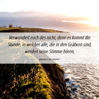 Picture 06 - Johannes 5:28 LUTH1912 - Verwundert euch des nicht, denn es kommt die - Bible Verse Picture