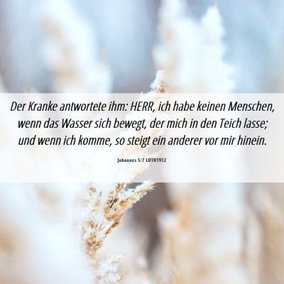 Picture 06 - Johannes 5:7 LUTH1912 - Der Kranke antwortete ihm: HERR, ich habe keinen - Bible Verse Picture