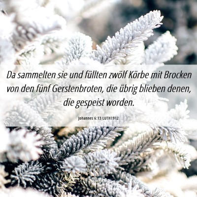 Picture 06 - Johannes 6:13 LUTH1912 - Da sammelten sie und füllten zwölf Körbe mit - Bible Verse Picture