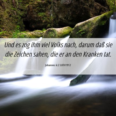 Picture 06 - Johannes 6:2 LUTH1912 - Und es zog ihm viel Volks nach, darum daß sie - Bible Verse Picture