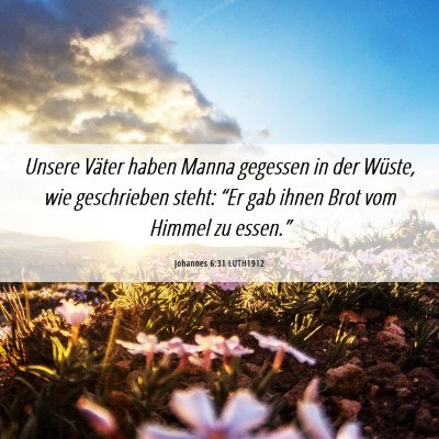 Picture 06 - Johannes 6:31 LUTH1912 - Unsere Väter haben Manna gegessen in der Wüste, - Bible Verse Picture