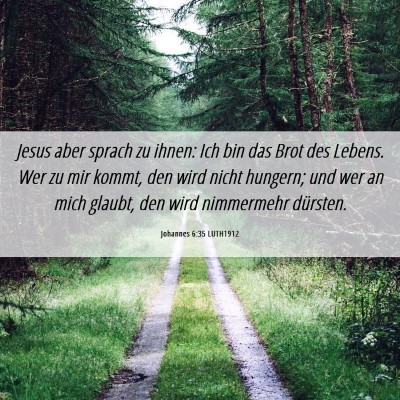 Picture 06 - Johannes 6:35 LUTH1912 - Jesus aber sprach zu ihnen: Ich bin das Brot des - Bible Verse Picture