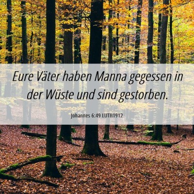 Picture 06 - Johannes 6:49 LUTH1912 - Eure Väter haben Manna gegessen in der Wüste - Bible Verse Picture
