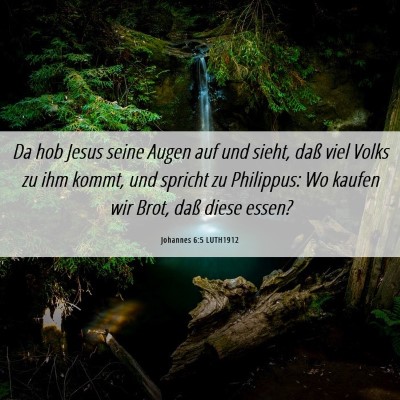 Picture 06 - Johannes 6:5 LUTH1912 - Da hob Jesus seine Augen auf und sieht, daß viel - Bible Verse Picture