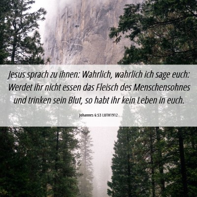 Picture 06 - Johannes 6:53 LUTH1912 - Jesus sprach zu ihnen: Wahrlich, wahrlich ich - Bible Verse Picture