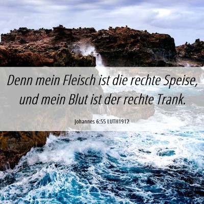 Picture 06 - Johannes 6:55 LUTH1912 - Denn mein Fleisch ist die rechte Speise, und mein - Bible Verse Picture