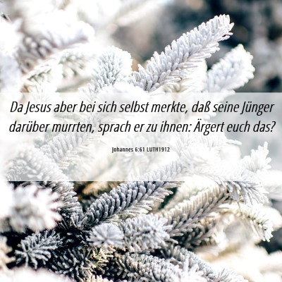 Picture 06 - Johannes 6:61 LUTH1912 - Da Jesus aber bei sich selbst merkte, daß seine - Bible Verse Picture