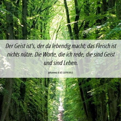 Picture 06 - Johannes 6:63 LUTH1912 - Der Geist ist's, der da lebendig macht; das - Bible Verse Picture