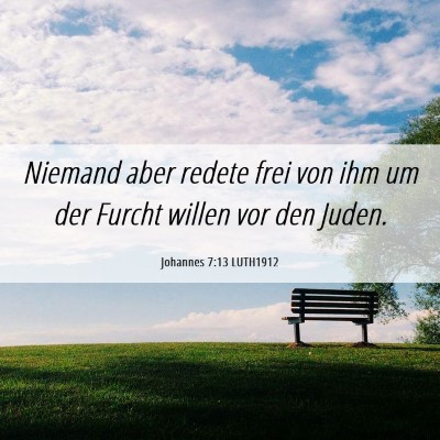 Picture 06 - Johannes 7:13 LUTH1912 - Niemand aber redete frei von ihm um der Furcht - Bible Verse Picture