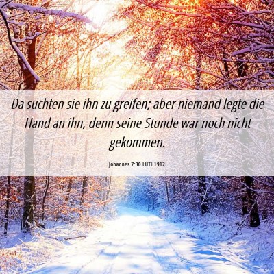 Picture 06 - Johannes 7:30 LUTH1912 - Da suchten sie ihn zu greifen; aber niemand legte - Bible Verse Picture
