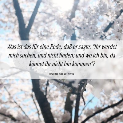 Picture 06 - Johannes 7:36 LUTH1912 - Was ist das für eine Rede, daß er sagte: “Ihr - Bible Verse Picture