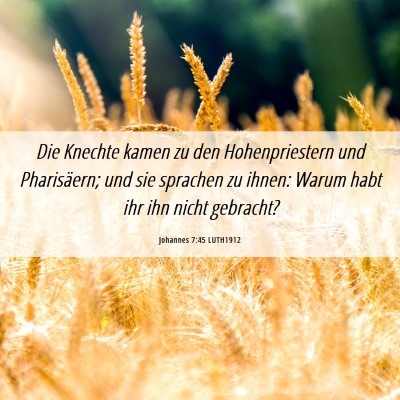 Picture 06 - Johannes 7:45 LUTH1912 - Die Knechte kamen zu den Hohenpriestern und - Bible Verse Picture