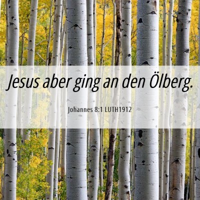 Picture 06 - Johannes 8:1 LUTH1912 - Jesus aber ging an den - Bible Verse Picture