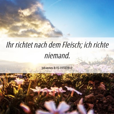 Picture 06 - Johannes 8:15 LUTH1912 - Ihr richtet nach dem Fleisch; ich richte - Bible Verse Picture