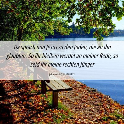 Picture 06 - Johannes 8:31 LUTH1912 - Da sprach nun Jesus zu den Juden, die an ihn - Bible Verse Picture