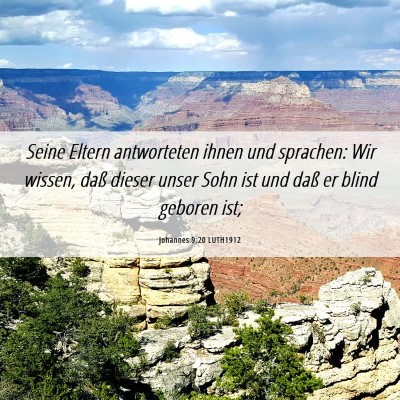Picture 06 - Johannes 9:20 LUTH1912 - Seine Eltern antworteten ihnen und sprachen: Wir - Bible Verse Picture
