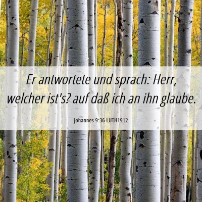 Picture 06 - Johannes 9:36 LUTH1912 - Er antwortete und sprach: Herr, welcher ist's? - Bible Verse Picture