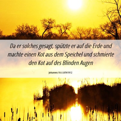 Picture 06 - Johannes 9:6 LUTH1912 - Da er solches gesagt, spützte er auf die Erde - Bible Verse Picture