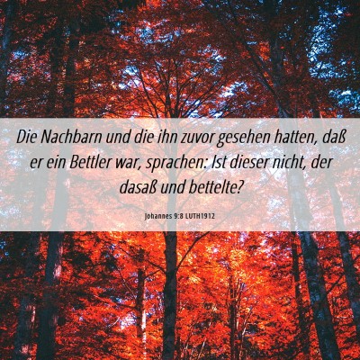 Picture 06 - Johannes 9:8 LUTH1912 - Die Nachbarn und die ihn zuvor gesehen hatten, - Bible Verse Picture