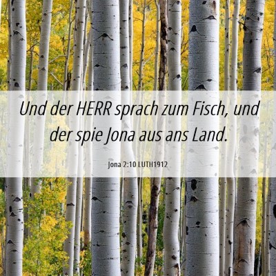 Picture 06 - Jona 2:10 LUTH1912 - Und der HERR sprach zum Fisch, und der spie Jona - Bible Verse Picture