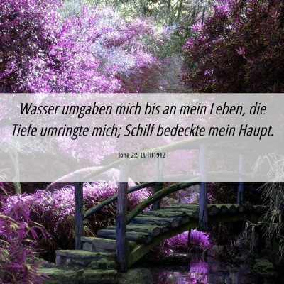 Picture 06 - Jona 2:5 LUTH1912 - Wasser umgaben mich bis an mein Leben, die Tiefe - Bible Verse Picture