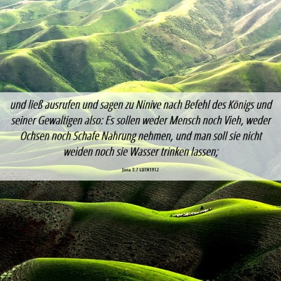 Picture 06 - Jona 3:7 LUTH1912 - und ließ ausrufen und sagen zu Ninive nach - Bible Verse Picture