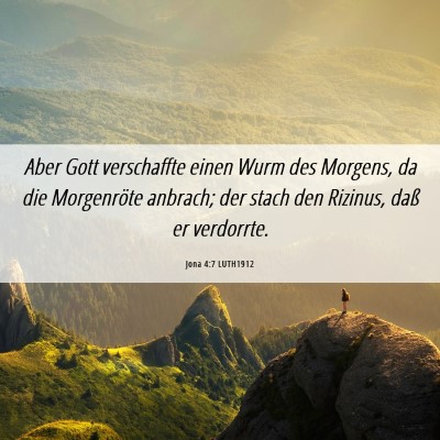 Picture 06 - Jona 4:7 LUTH1912 - Aber Gott verschaffte einen Wurm des Morgens, da - Bible Verse Picture