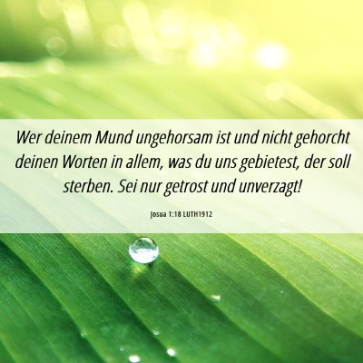 Picture 06 - Josua 1:18 LUTH1912 - Wer deinem Mund ungehorsam ist und nicht gehorcht - Bible Verse Picture